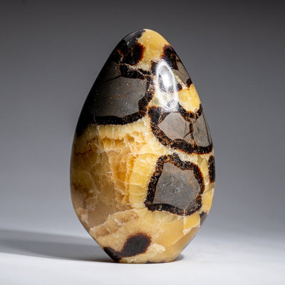 Forme libre de septaire poli de Madagascar (2,7 lb)