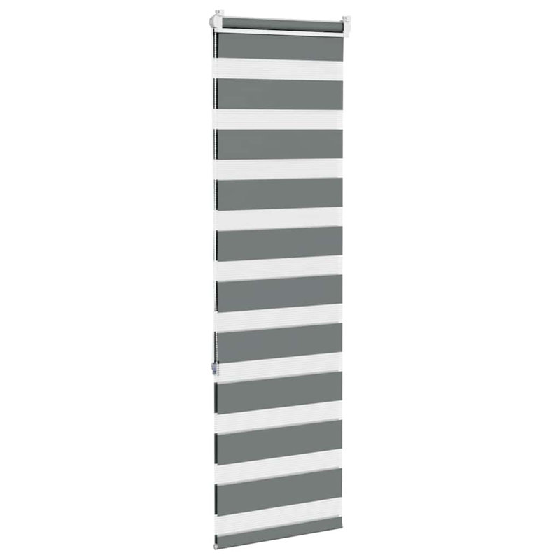 George Oliver Zebra Blind Polyester, 40cmW x 150cmL, Dark Grey