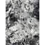 Solid Colour Area Rug-115399014
