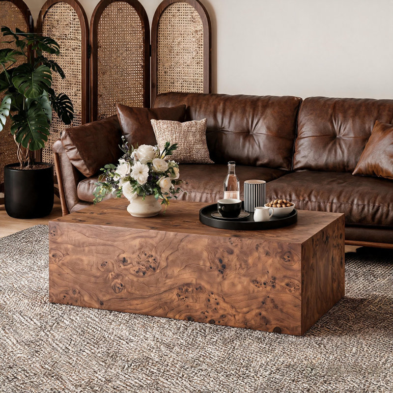 Table basse d'appoint en placage de noyer et en panneau de fibres à densité moyenne de qualité supérieure, 39,5 po x 21,7 po x 11,8 po, aucun article supplémentaire inclus