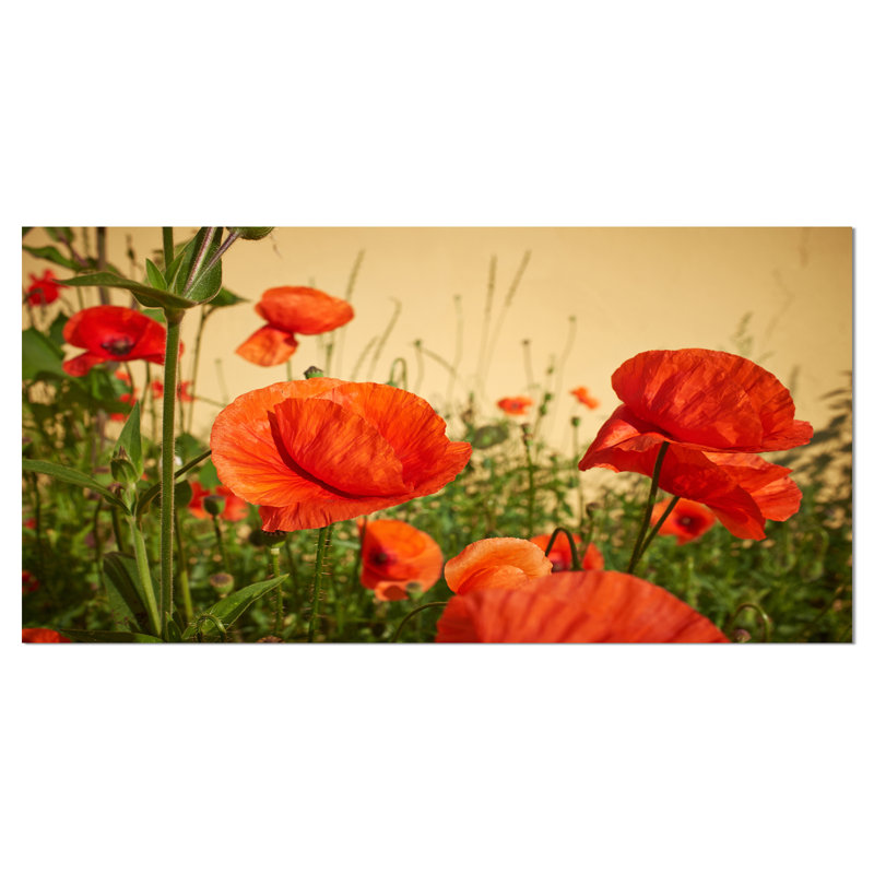«Colorful Red Poppy Flower Field», reproduction de photo sur toile tendue, H 28 po x l 60 po