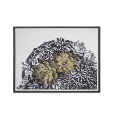 Succulent Garden A Print