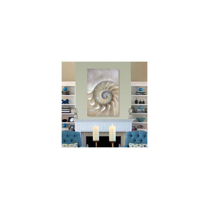 Sea Shell Swirl Print, 40" H x 60" W x 1.5" D