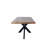 Discover Modern Elegance - Rectangle Dining Table with Mango Wood Top and Sturdy Spider Legs-832280149