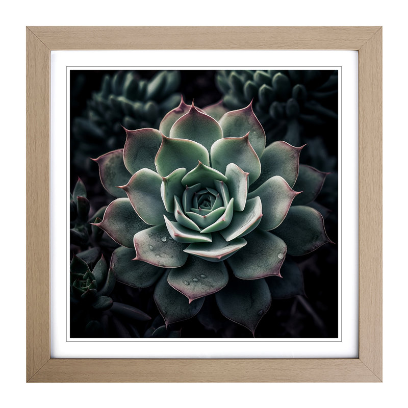 Succulent Photograph - Framed Print, Oak
