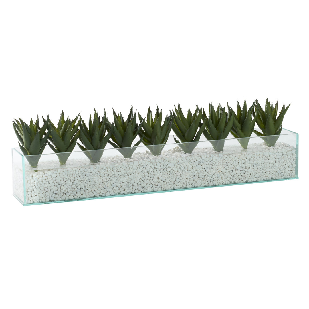 7'' Faux Aloe Plant in Glass Decorative Vase Primrue