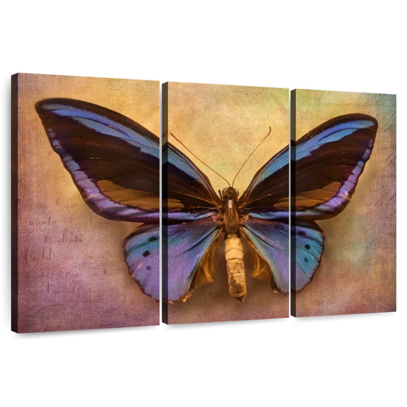 Purple Butterfly, 36" H x 57" W