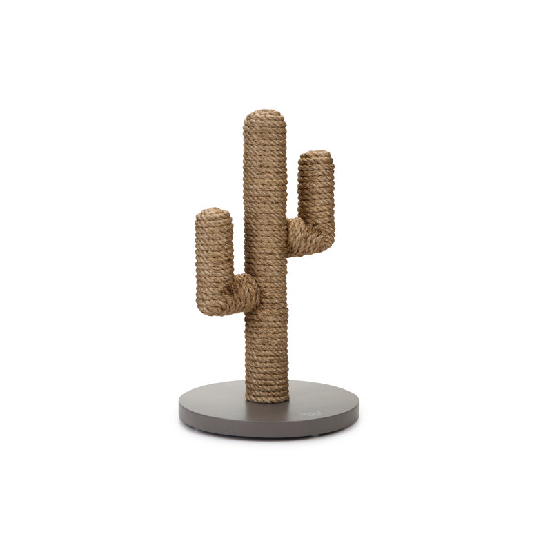 Eastwood Scratching Post