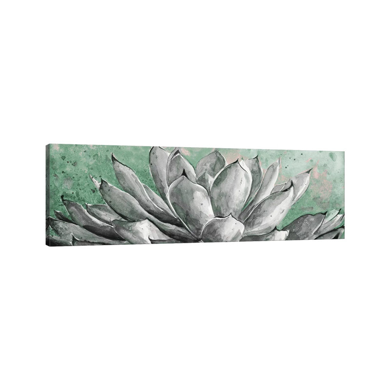 Gray Agave On Green by Patricia Pinto - Wrapped Canvas Panoramic Gallery-Wrapped Canvas Giclée, 30.48 cm H x 91.44 cm W