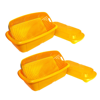 Panier de fruits abricot - ensemble de 2