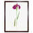 Brown Framed Paper selected