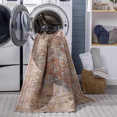Heyward Oriental Indoor Rug