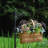 Gravelle 68" Black Metal Shepherd's Hook