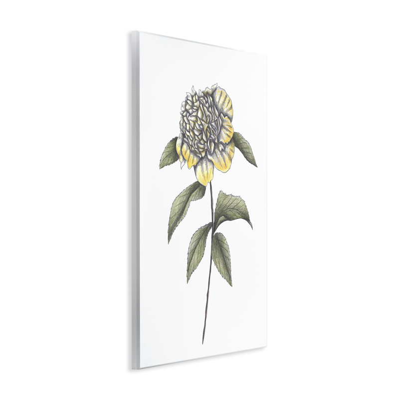 Camellia Flower Illustration, plaque murale, conception par Cecilia Battaini, H 19 po x l 13 po