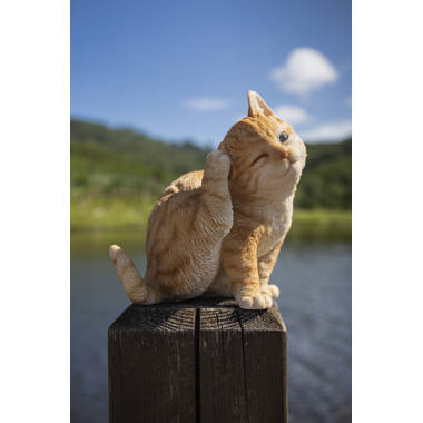 Hi-Line Gift Ltd. Head-Tilting Tabby Sitting Kitten - Orange 87978-A
