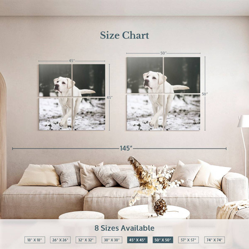 Brampt Labrador Retriever, 50" H x 50" W