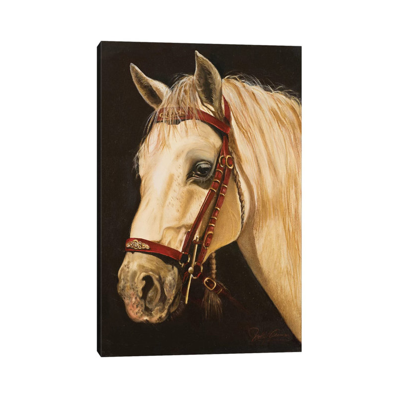 Horse by Nelly Arenas - Wrapped Canvas Gallery-Wrapped Canvas Giclée, 20.32 cm H x 30.48 cm W