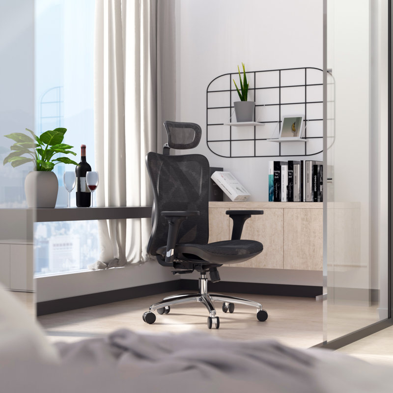 Ergonomic Office Chair, Mesh Desk Chair with Adjustable Armrests, Black