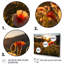 Hibiscus champ avec coucher de soleil I - décoration murale florale-1494025096-1494025097