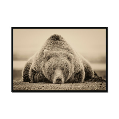 Deep Sleep by PHBurchett - Print