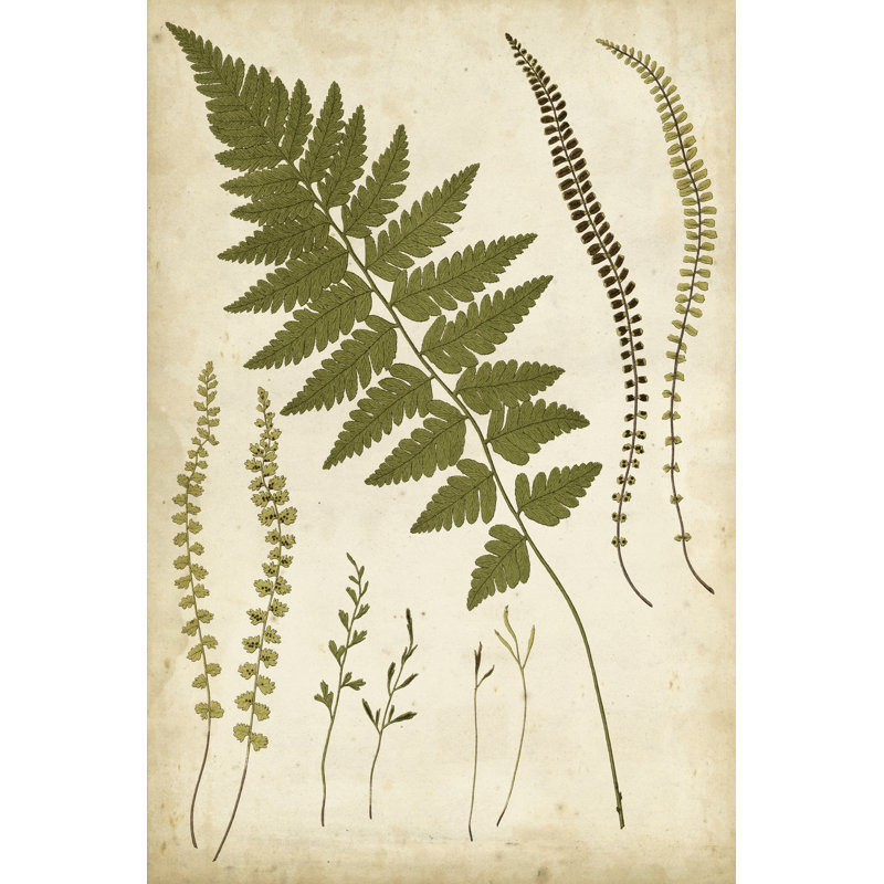 «Fern Portfolio II», peinture sur toile, H 12 po x l 8 po