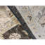 Ziegler Wool Oriental Area Rug in Black/Gray/Beige