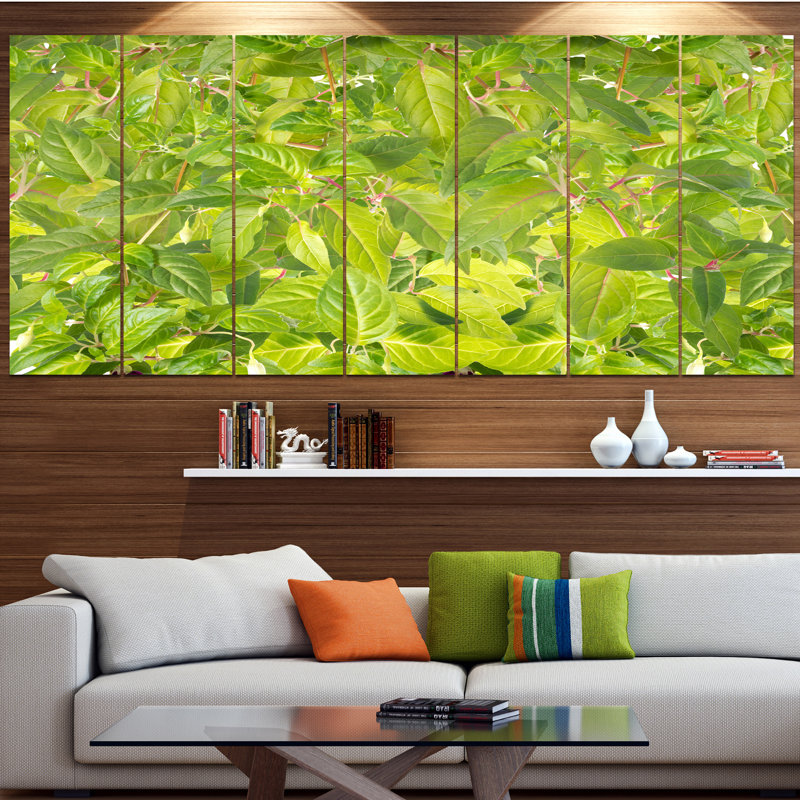 « brillante fuchsia green feuillage », reproduction de photo à multiples images sur toile