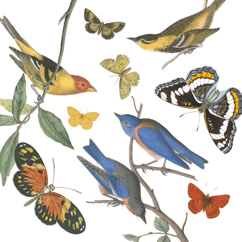 Natures Flight I No Ferns, L 12 po x H 12 po
