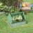 49.25" W x 37.5" D Mini Greenhouse-120240520