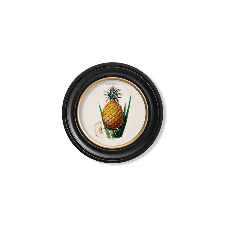 Pineapple by Mid-1800s - Single Picture Frame Print on Archival Matt 230gsm Paper