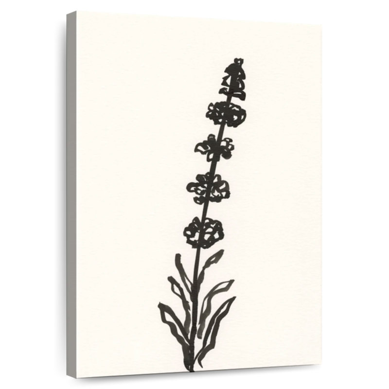 Esquisse botanique Harnek Ink IV, H 48 po x l 32 po