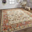 Carrington Hand Knotted Wool Oriental Area Rug in Ivory-47587866