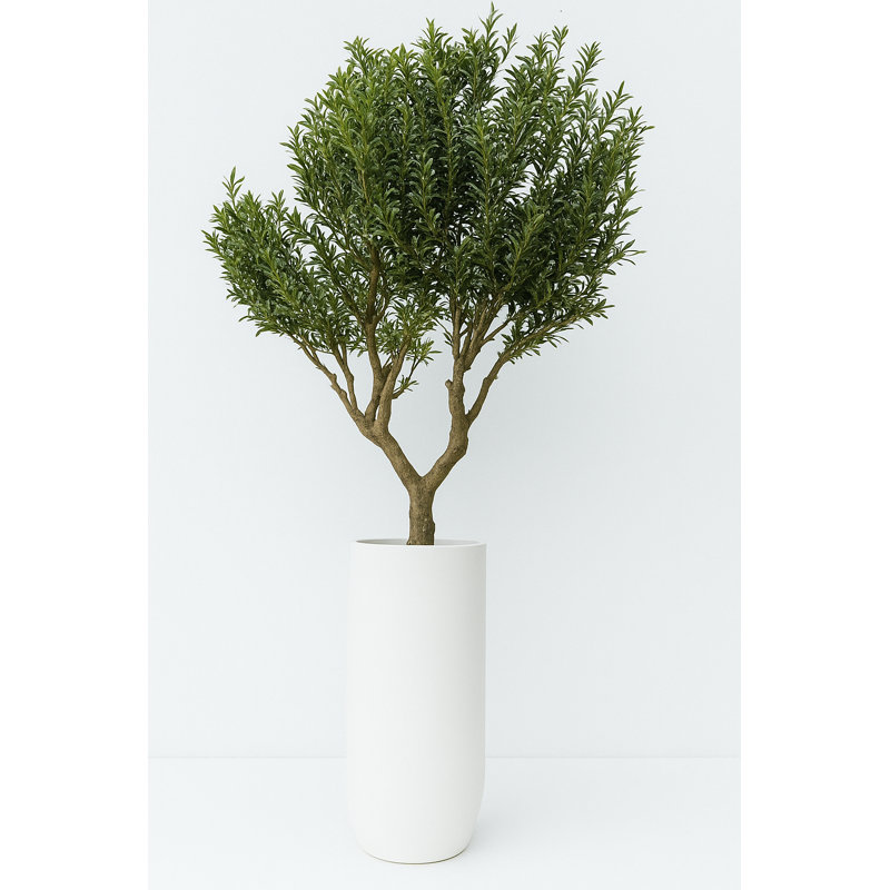 Artificial Olive Tree In Matte Black St. Tropez Planter, White