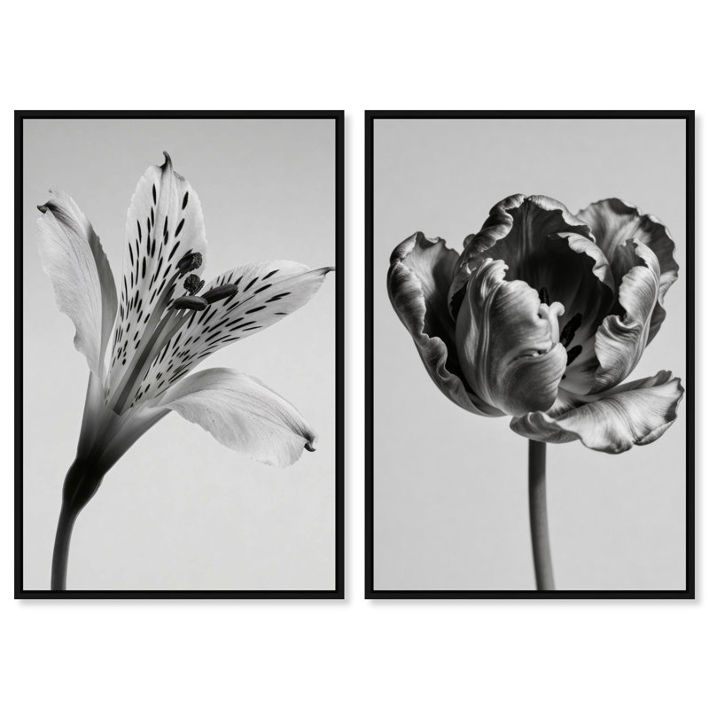 Peeking Flowers Set Set by Oliver Gal, 16" H x 11" W, Black Floater Frame