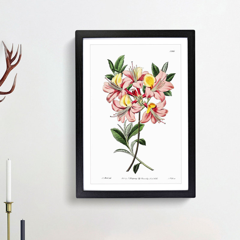 Pretty Pink Azalea Flowers - Picture Frame Painting Print, Black Framed, 36cm H x 27cm W x 2cm D