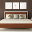 Coussin Rhino-21920292