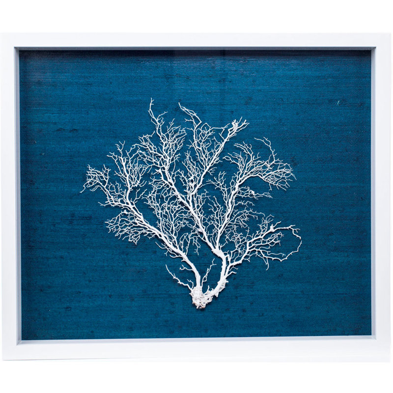 Sealife Print