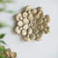 Plaque murale succulente