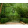 Joss & Main Caliana LED Hanging Lights
