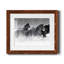 Winter Roundup I - Photographie avec cadre-1226318057-1226318061