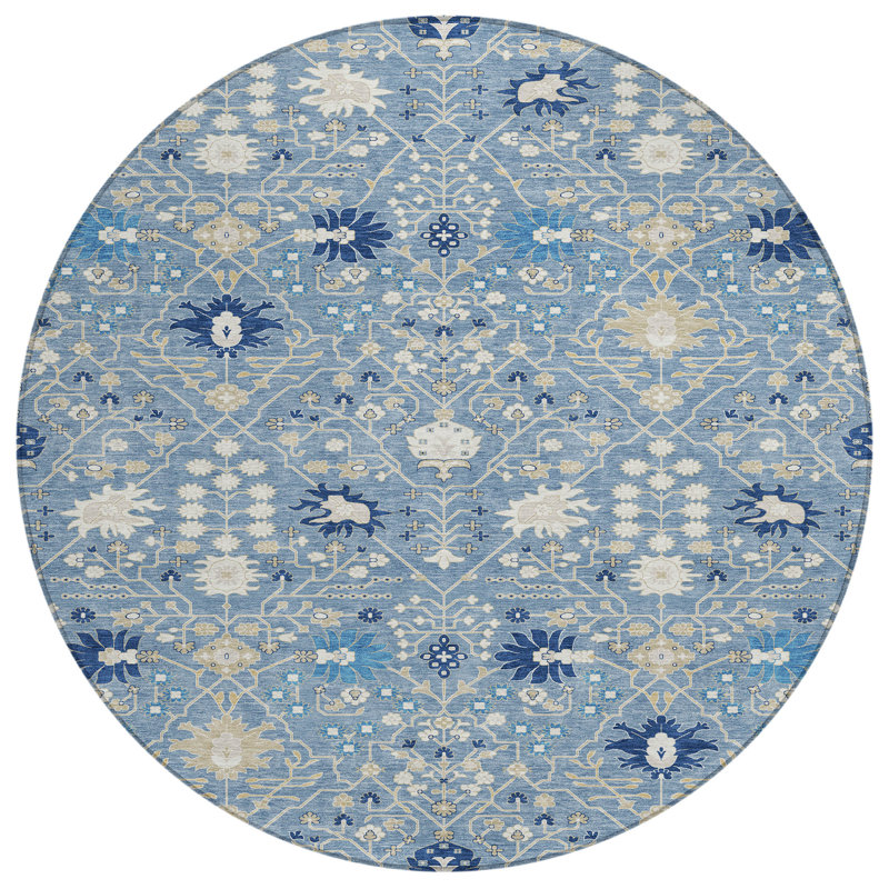 Chayden Indoor/Outdoor Chantille ACN1009 Area Rug, Round 8'