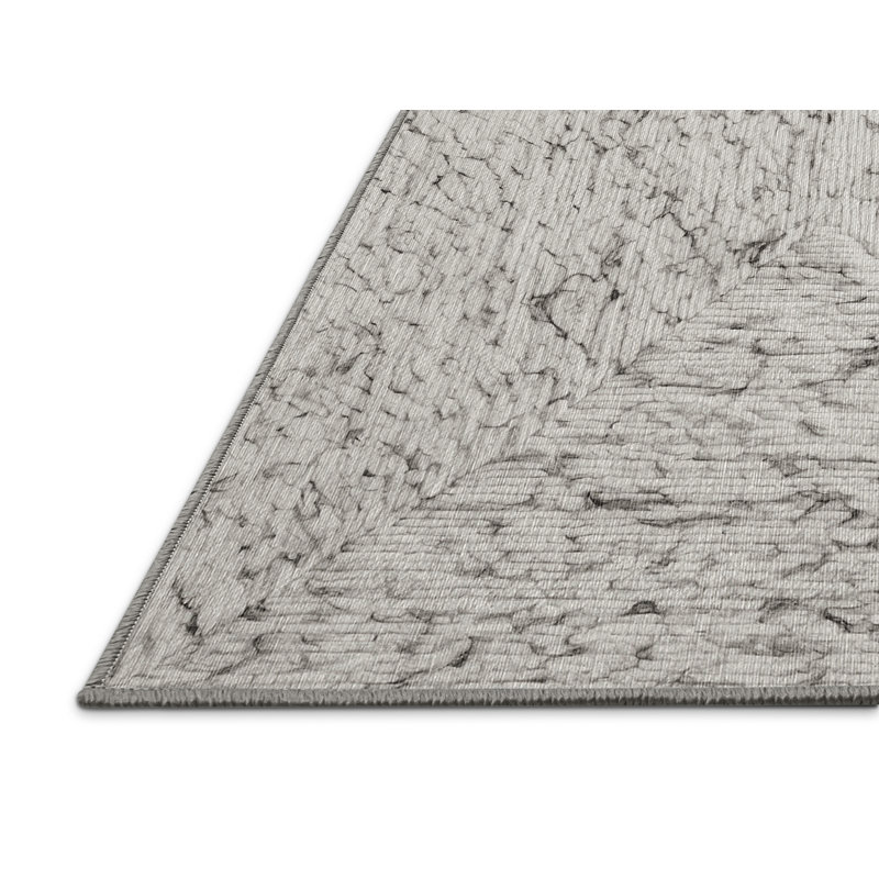 Machine Washable Gray Area Rug