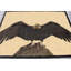 Tapis en polypropylène brun / crème Gonzalo-87774542
