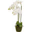 80cm Faux Plant in Cement Pot Liner