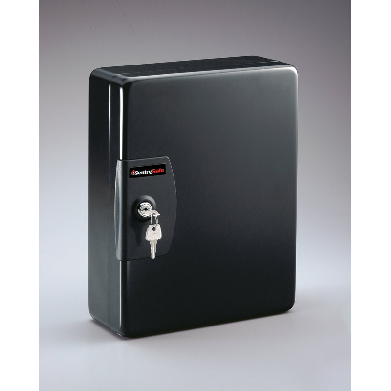 Armoire à clés avec serrure SentrySafe, H 9,8 po x l 7,4 po x P 3,4 po