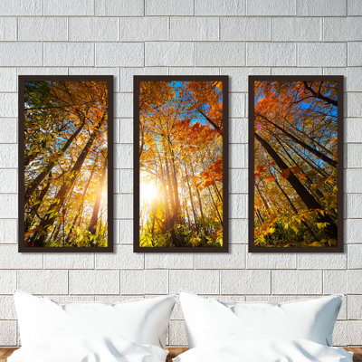 " Autumn Aura " 3 - Pieces
