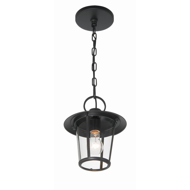 Lanterne suspendue d'extérieur 1 lumière H 11 po Tranesha