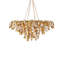 Lucullan 14 - Light Wrought Iron Chandelier