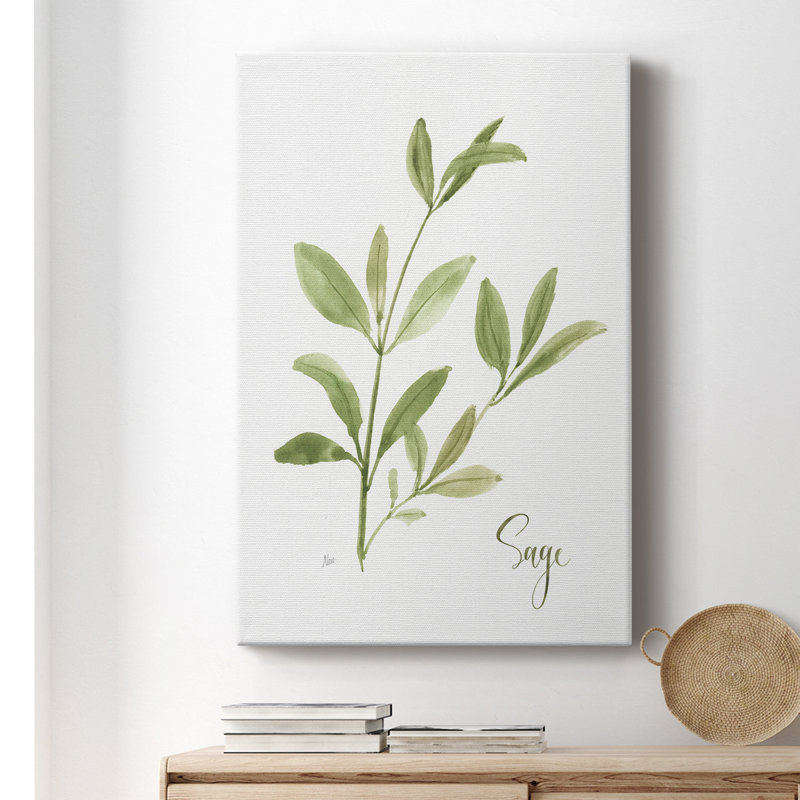Toile tendue avec châssis Herb Sage Premium - prête à être accrochée, H 18 po x l 12 po