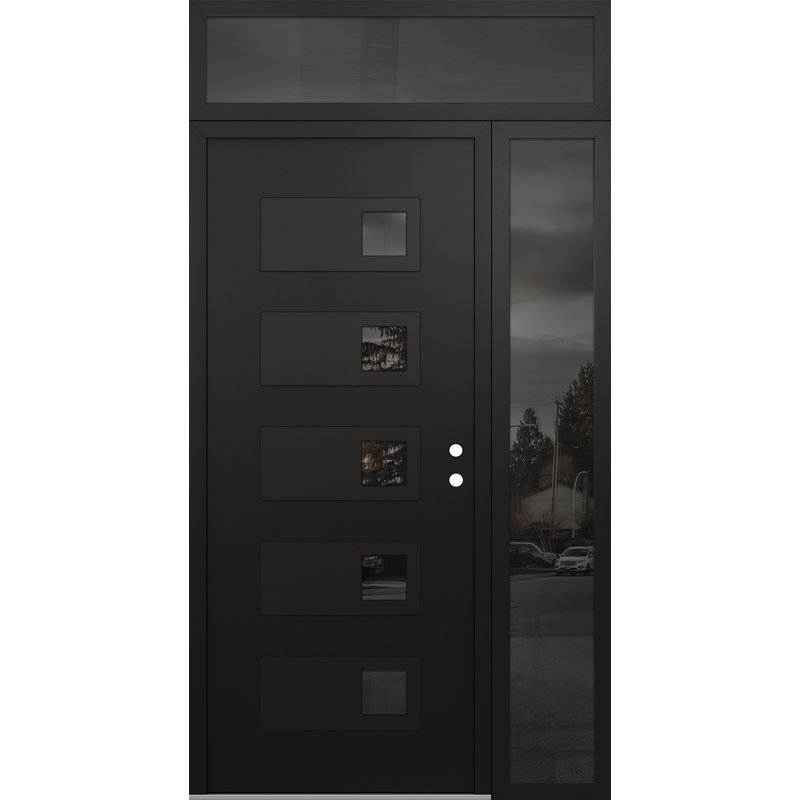 D2 48 po. X 96 po Panneau de porte en verre noir et noir à panneau avec porte d'entrée avant en verre, L 48 po x H 96 po
